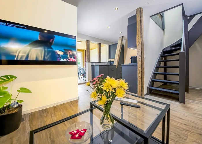 Swiss & 因特拉肯